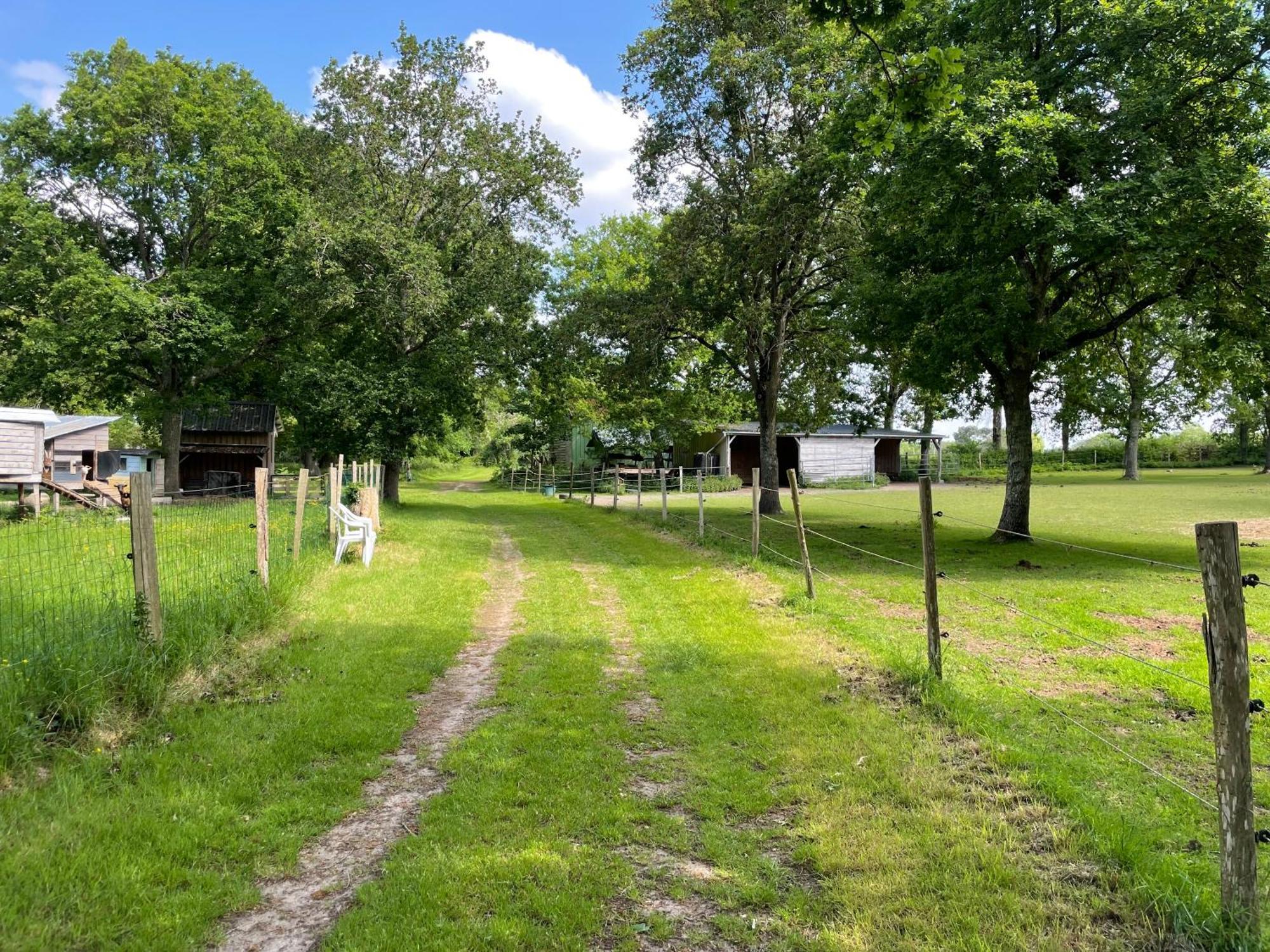 Les Fermes De Kercadoret Belz Buitenkant foto
