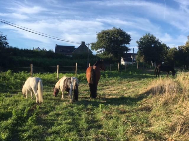 Les Fermes De Kercadoret Belz Buitenkant foto